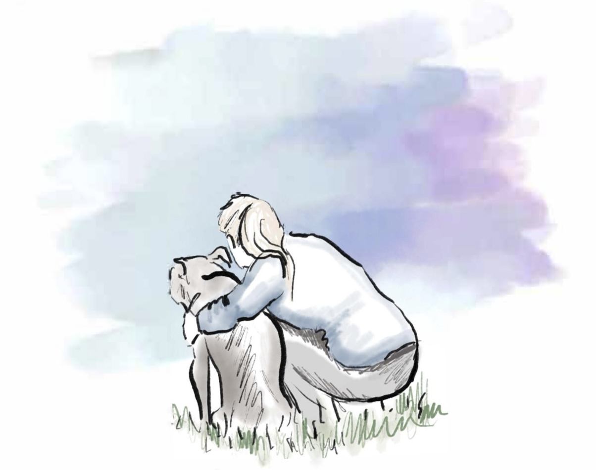 Watercolor sketch of a person hugging a senior dog in the grass.