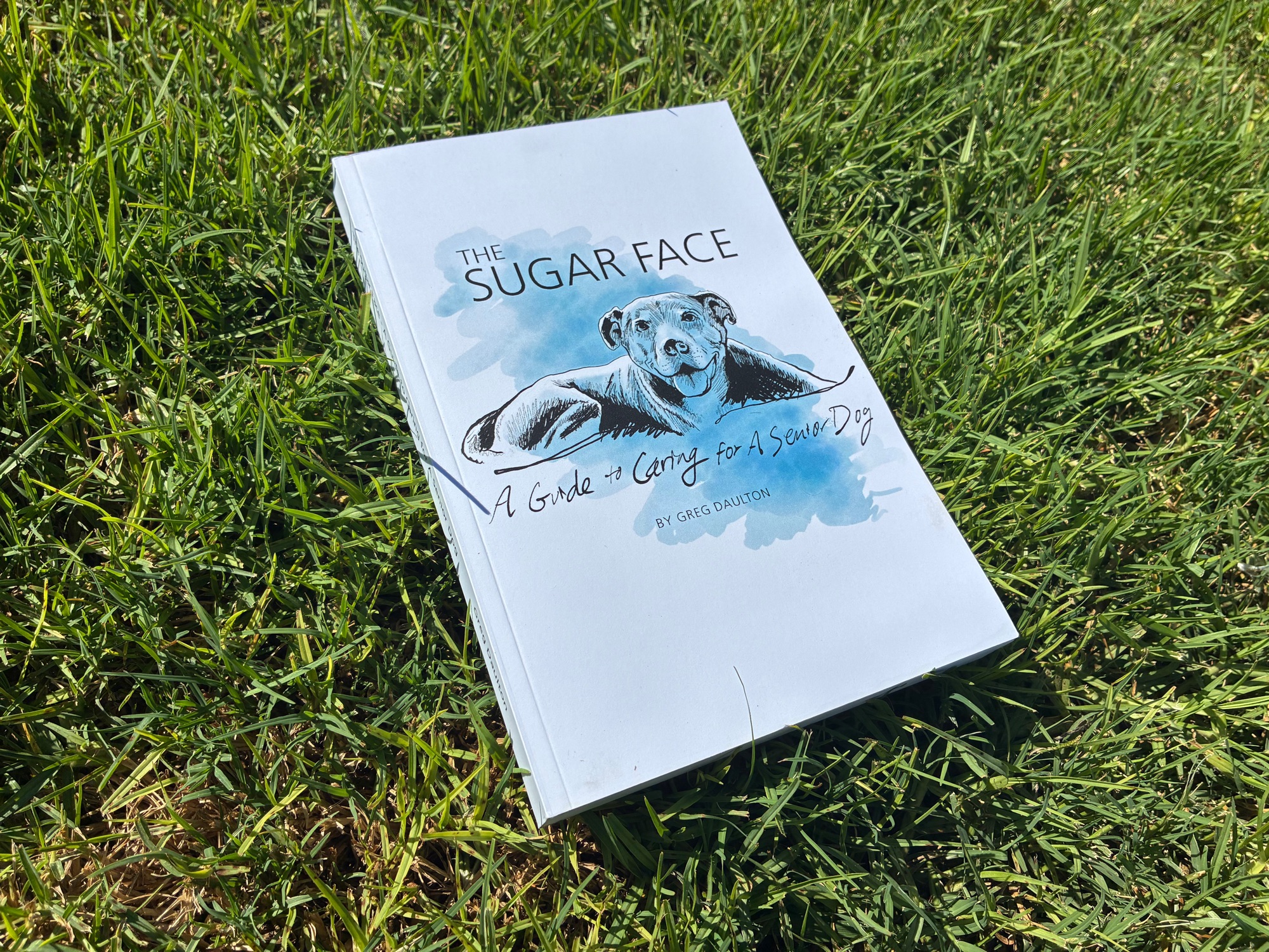 A copy of The Sugar Face lying on the grass.